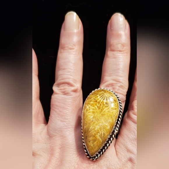 Source Unknown Jewelry - NWOT Fossilized Coral Ring, Handmade By Artisans, Polished Honey Gold, Sz. 8